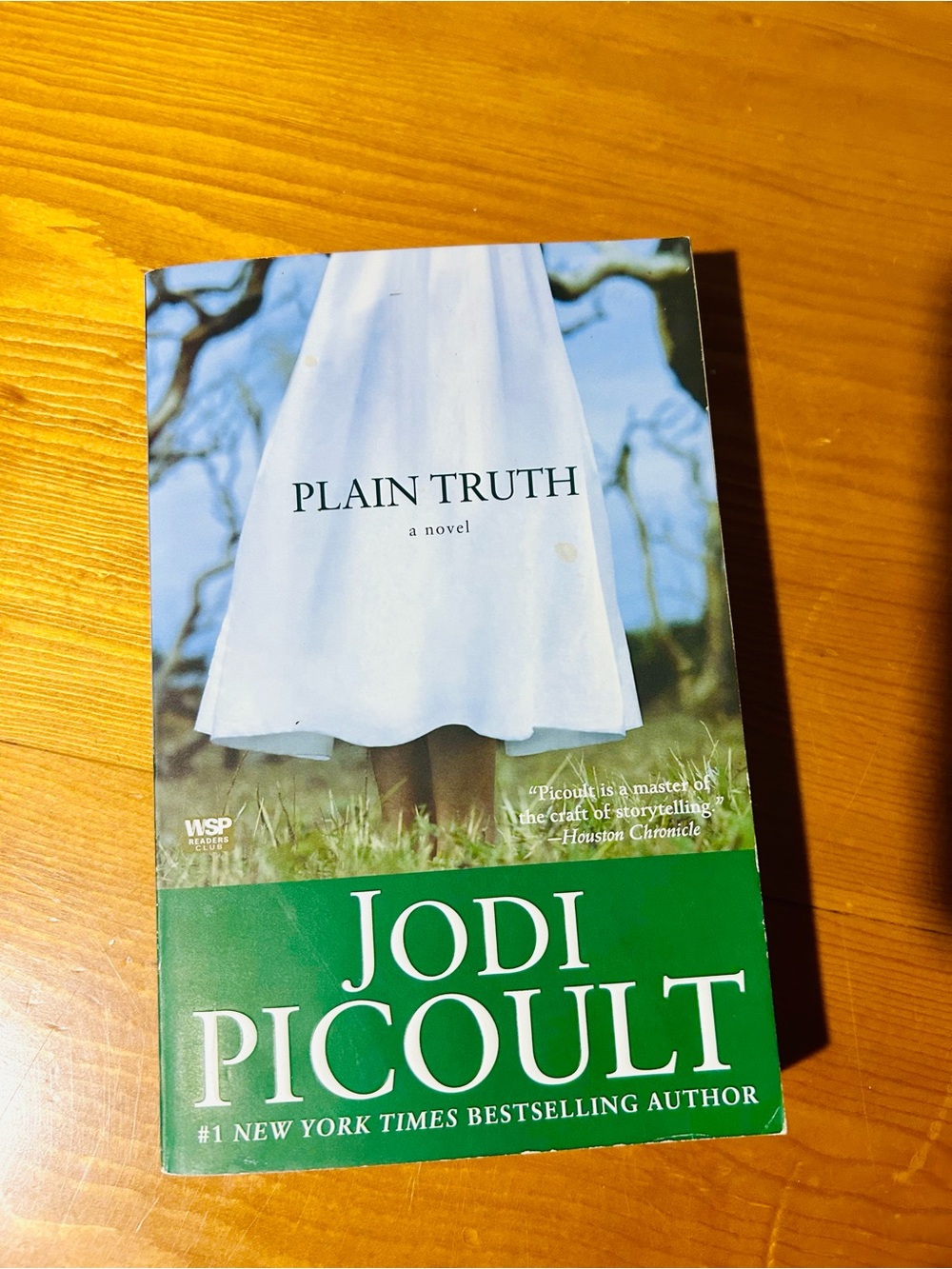 (3/$10) Plain Truth by - Jodi Picoult